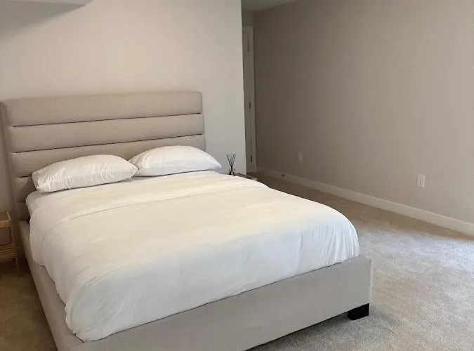 The Stay Lounge